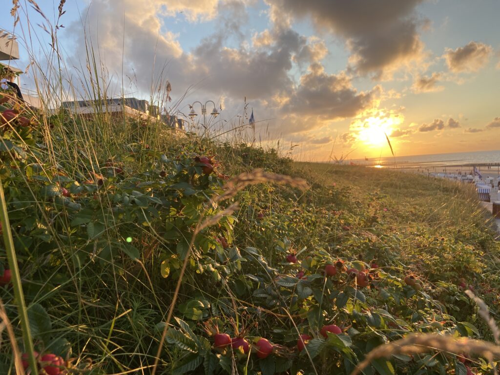 Sonnenuntergang Wangerooge – Freundesurlaub am Meer